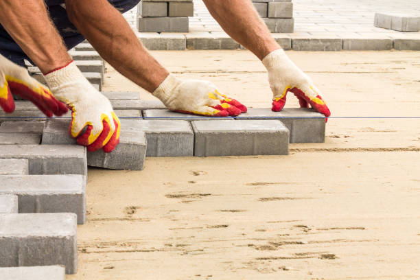 Best Driveway Paving Contractor  in Dundee, MI